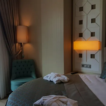 Hotel The Grand Mira Business Hotel 4*